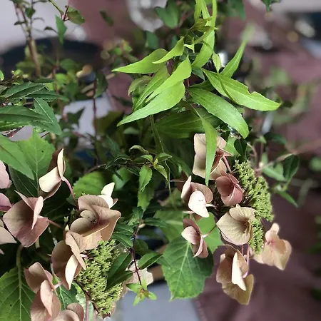 Couette-café La Mesnil-Val-Plage