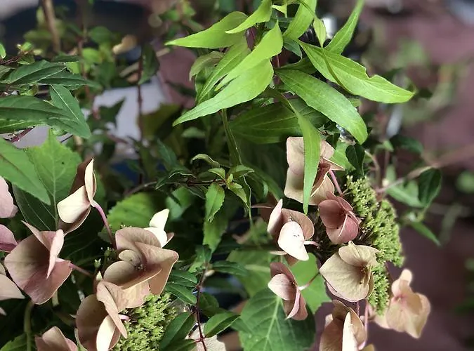 Bed & Breakfast La Mesnil-Val-Plage